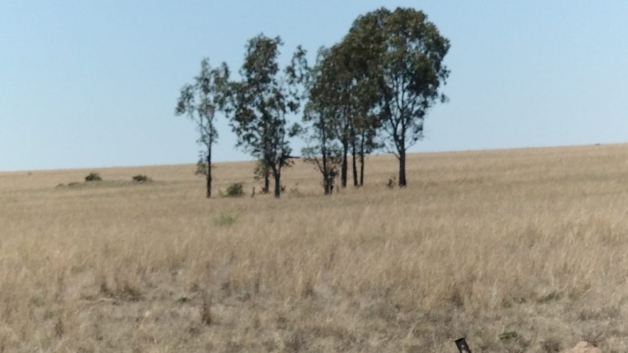  Bedroom Property for Sale in Bloemfontein Rural Free State